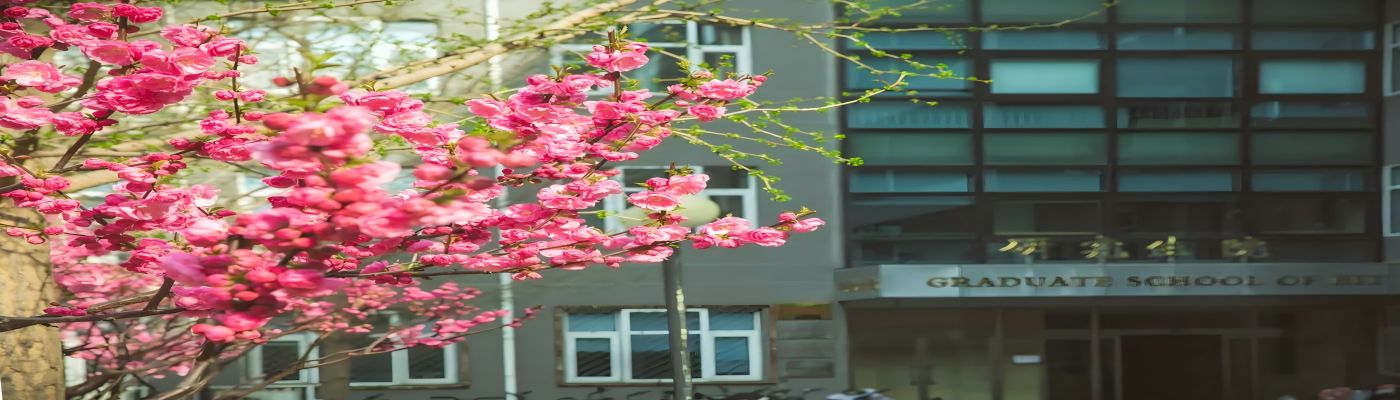 爱体育(中国)app优惠活动2026