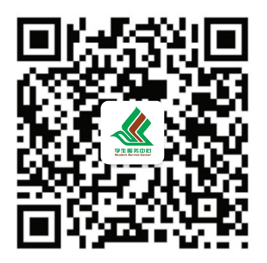 全力护航师生成长发展